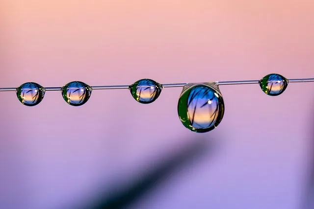 1월에 검색 많이 하는 생활 꿀팁 키워드