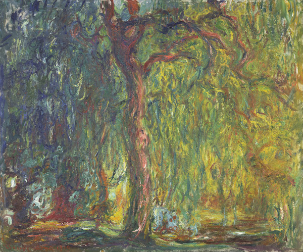 Weeping Willow 191819
