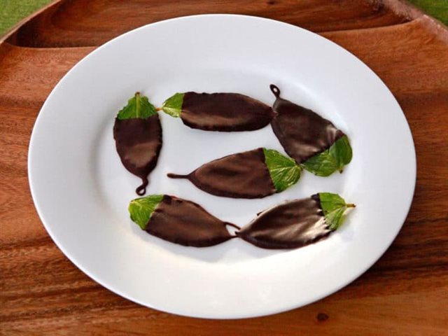 Chocolate Phủ Bạc Hà