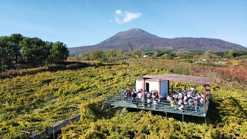 FOTO WINE TOURS PAG 6.jpg