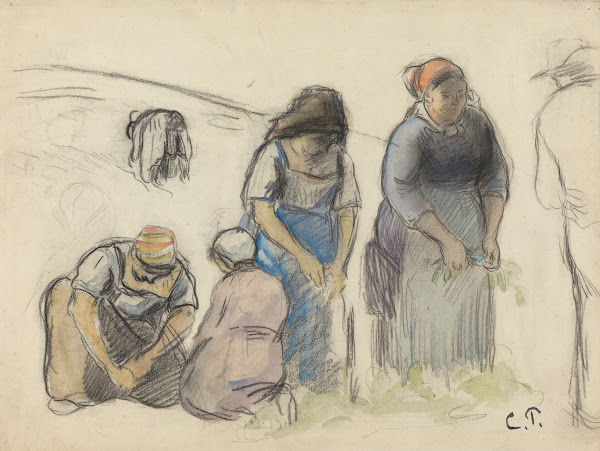 Pea Harvesters recto c 1880