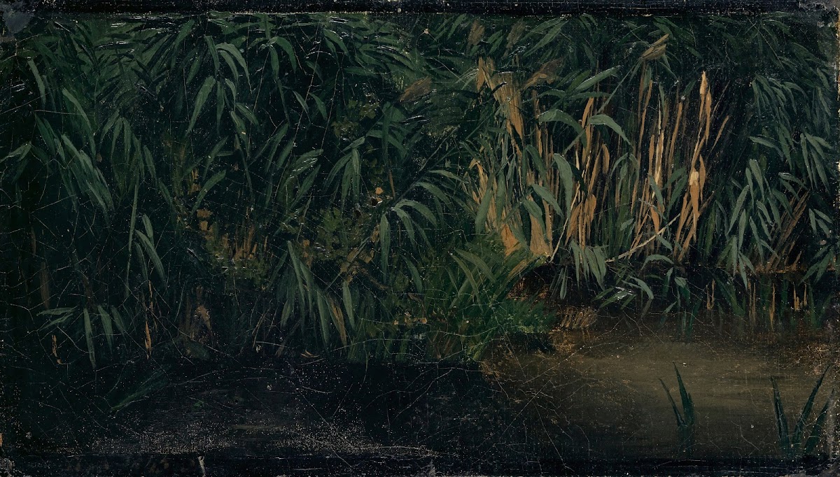 Reed 1845
