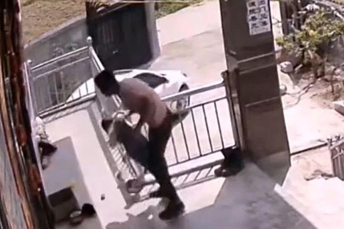 Phát hiện rắn cực độc trong thùng đồ chơi, người cha lao tới cứu con - Tạp chí Doanh Nghiệp Việt Nam