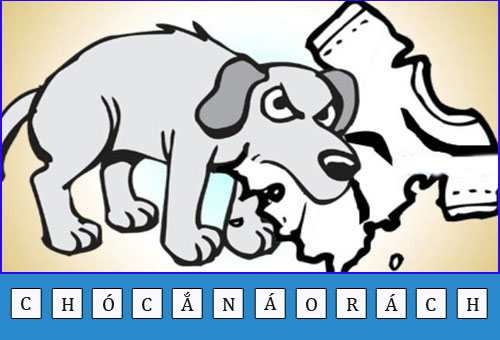 Tìm hiểu ý nghĩa của câu : Chó cắn áo rách