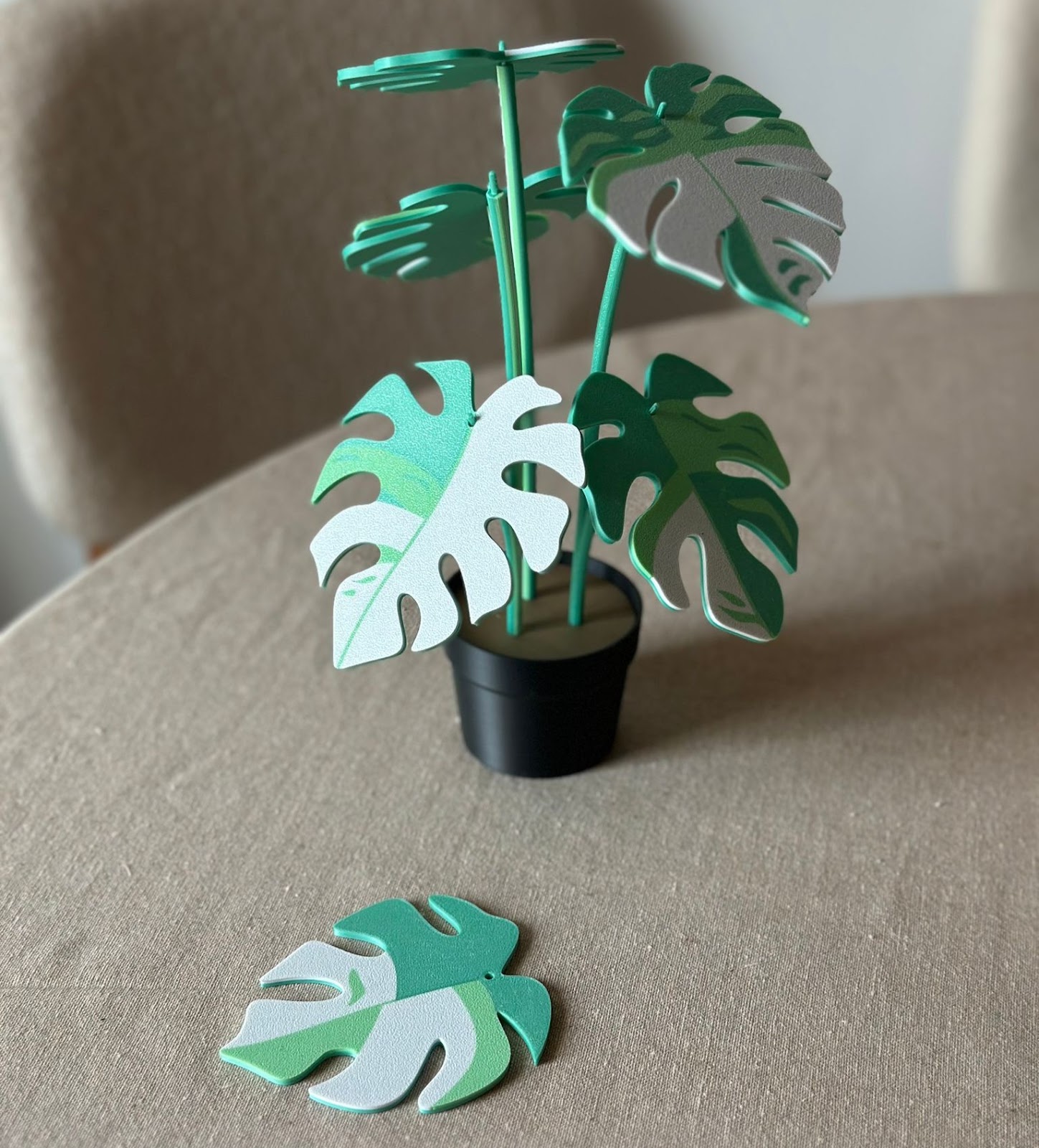 Set de 6 Posavasos Monstera