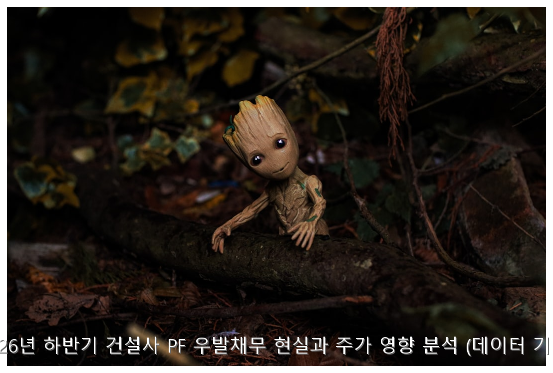 2026년 하반기 건설사 PF 우발채무 현실과 주가 영향 분석 (데이터 기반) 핵심 안내 및 분석 인포그래픽 (5)