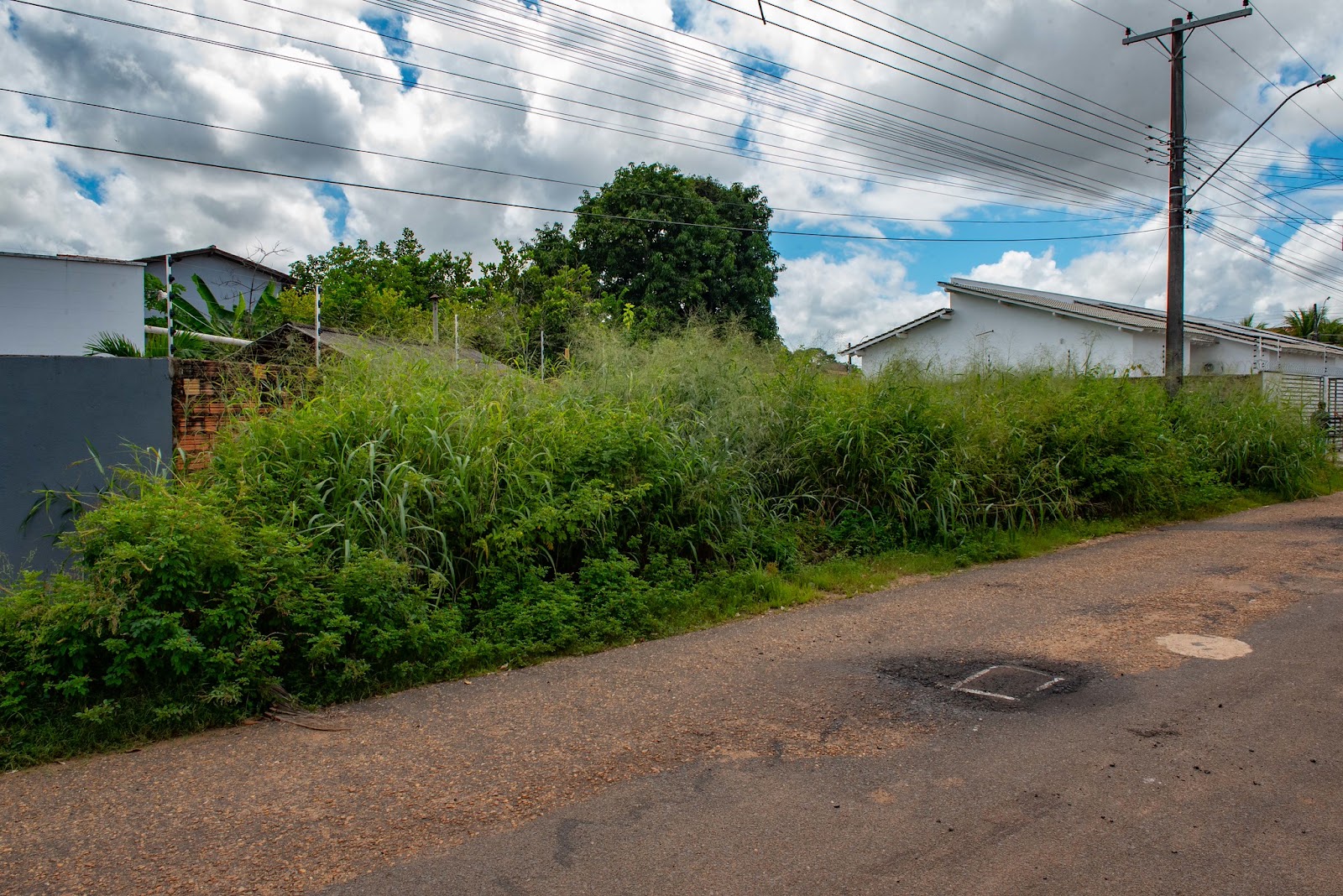 Placa de terreno baldio em Boa Vista durante ação de limpeza e fiscalização ambiental