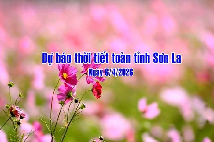 Dự báo thời tiết toàn tỉnh Sơn La ngày 6/4/2026 - Báo Sơn La