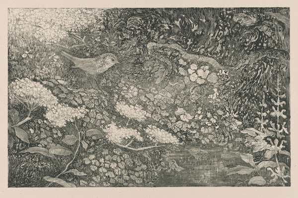 Vogel in begroeiing aan het water 1911   1914