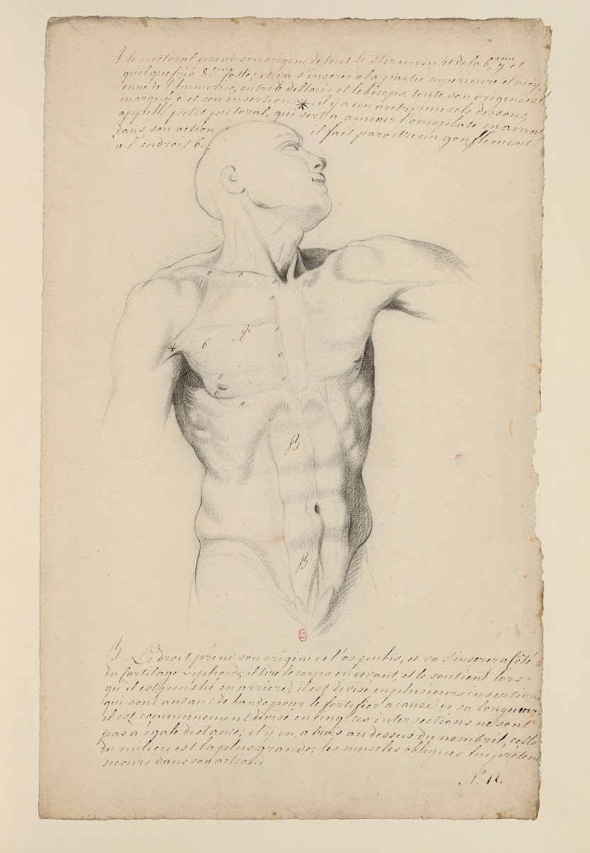Cahiers dAnatomie Pl11 18th Century