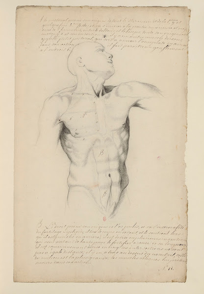 Cahiers dAnatomie Pl11 18th Century