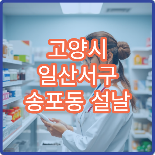 고양시 일산서구 송포동 설날 명절 연휴 문 여는 약국 찾기