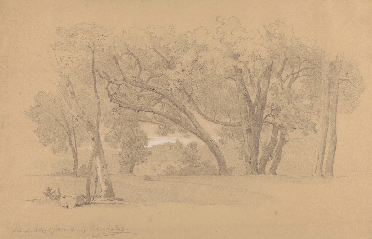 Park in Villa Doria Pamphili in Albano 1857