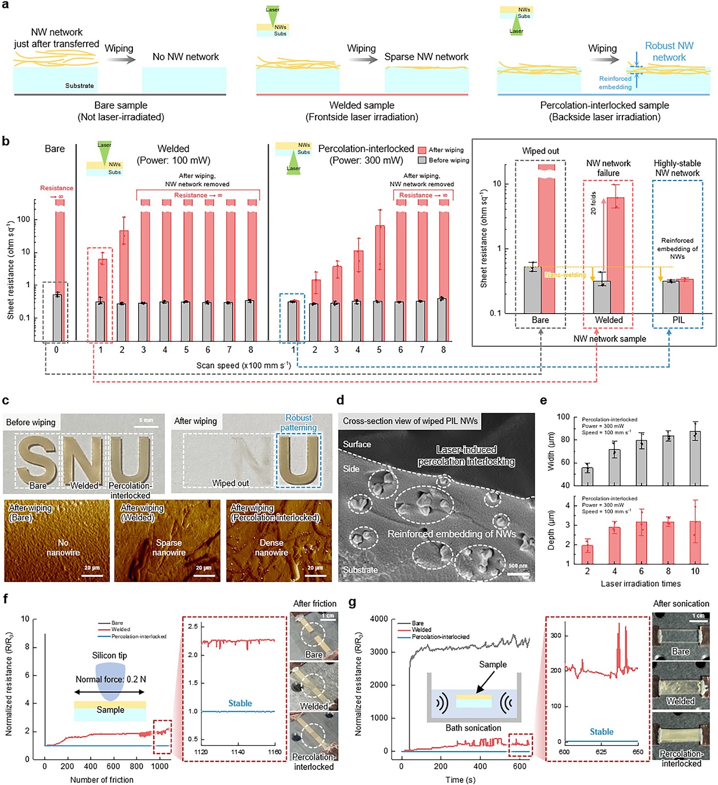 Laser-Induced Nanowire Percolation Interlocking for Ultrarobust Soft Electronics