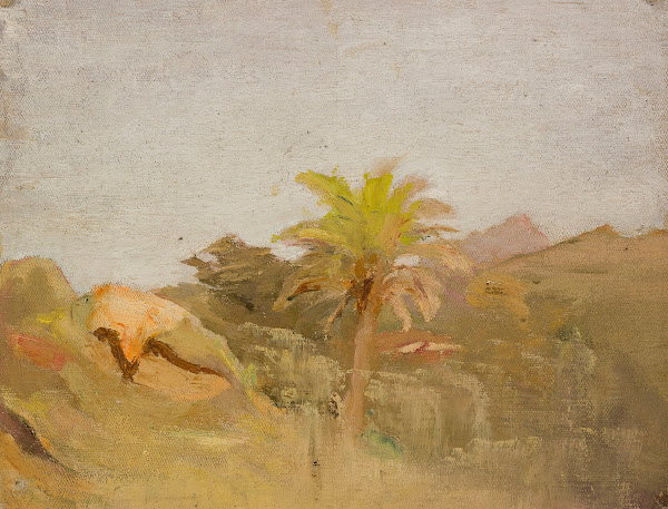 Palm tree in Ceylon From the journey to India 1907