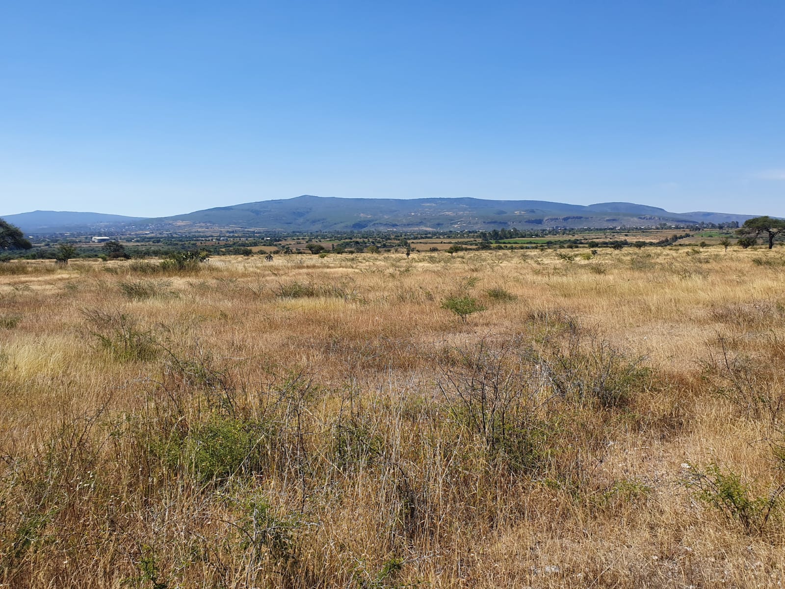 VENTA DE TERRENO EN APASEO EL ALTO, GUANAJUATO.