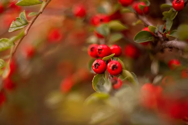 &lsquo;사서 고생하다&rsquo;라는 말엔 어떤 심리가 숨어있을까? 표현 속 집단 무의식 해설