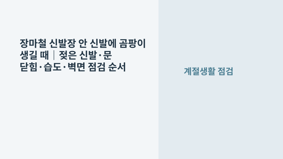 장마철 습기로 신발장 안 신발과 선반에 곰팡이가 생긴 상태를 점검하는 장면