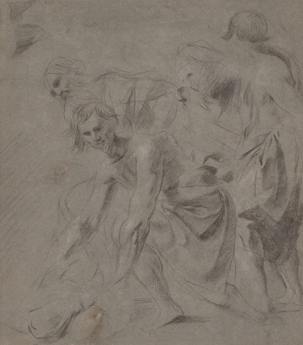 CompositionalStudy ca161620