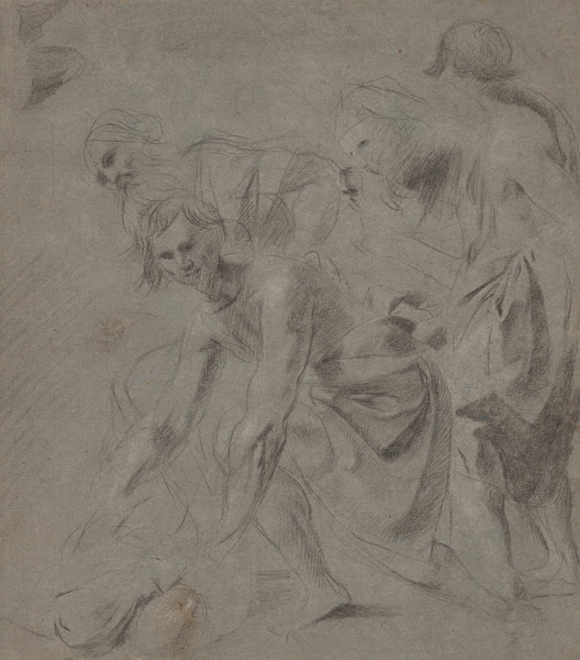 CompositionalStudy ca161620
