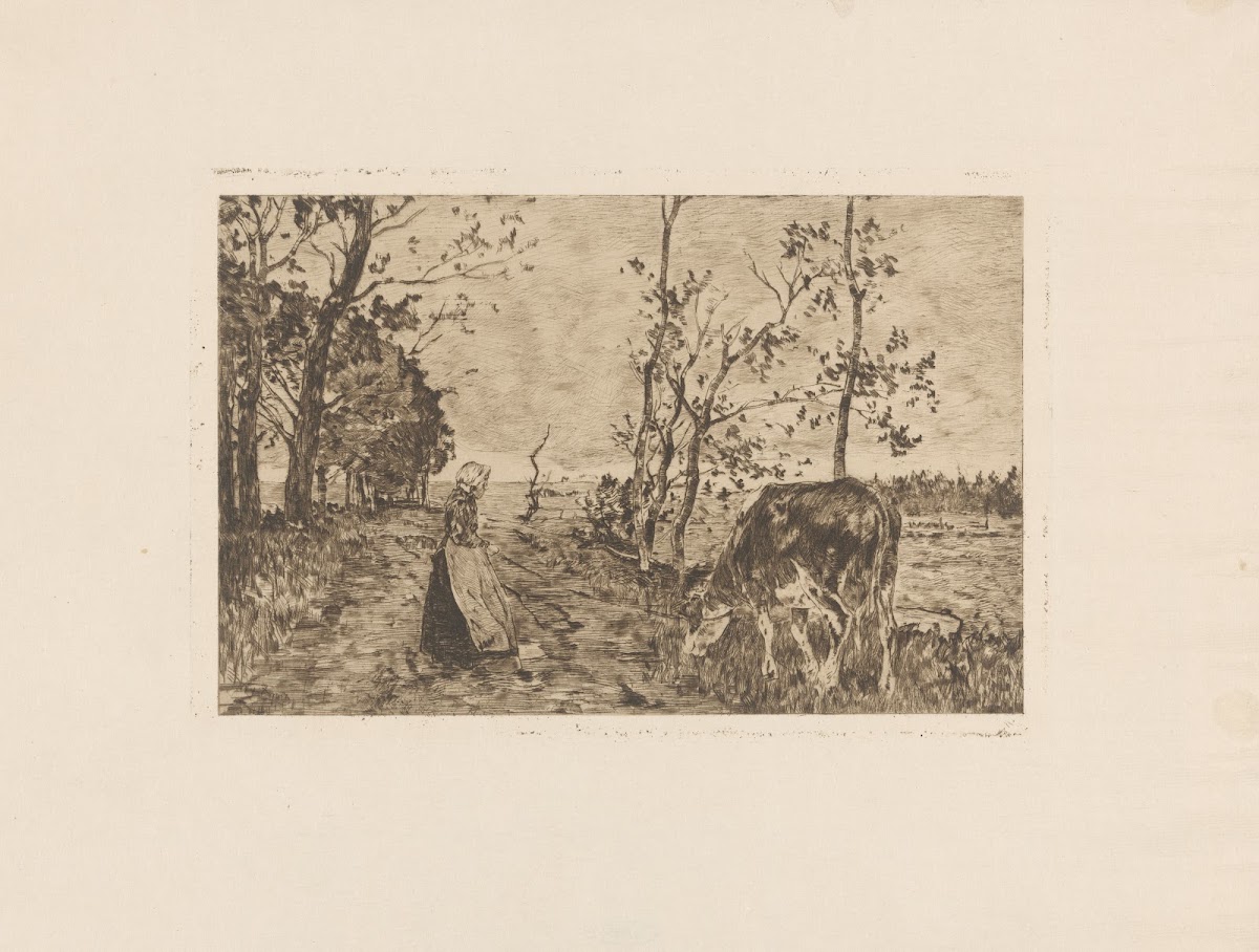 Koehoedster 1896