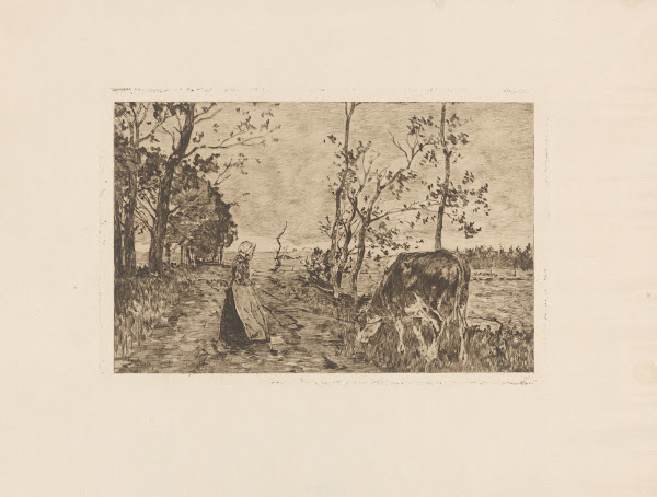 Koehoedster 1896