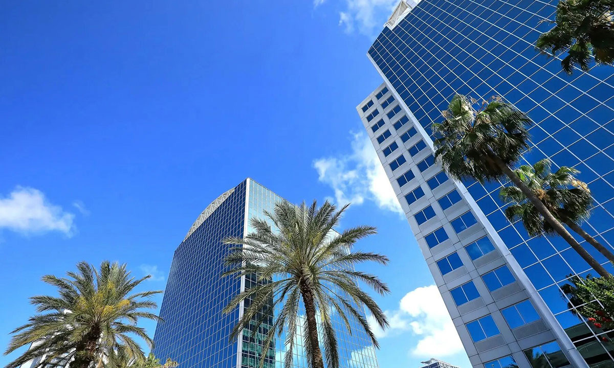 Blackwell American Experience: La puerta al mundo profesional