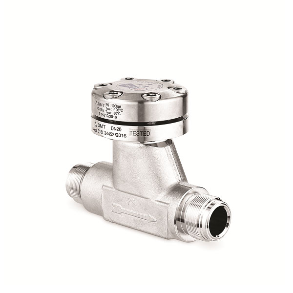 Car(s) Check Valves - HP & UHP Gas Valves by Southern CGS