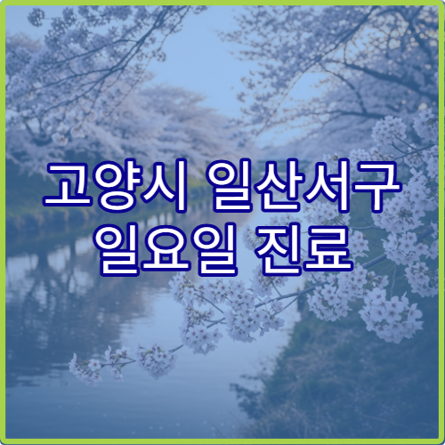 고양시 일산서구 일요일 진료 정신건강의학과 병원 우울증·불면 상담 가능