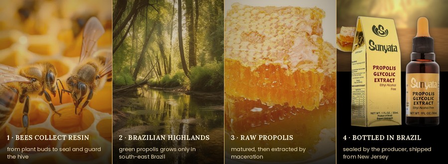 From the hive to the bottle: bees collect resin, Brazilian highlands, raw propolis, bottled in Brazil