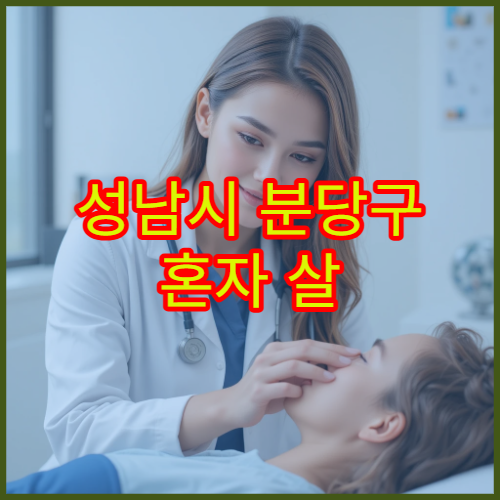 성남시 분당구 혼자 살 때 월세 수준과 관리비 평균 총정리