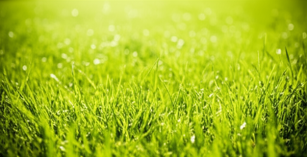 결론: 건강한 무릎으로 활기찬 내일을!