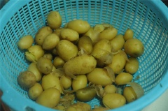 Khoai tây tươi nhỏ được làm sạch, rửa sạch. Cho khoai tây vào nồi cơm điện, thêm ngập nước, nấu khoảng 30 phút cho đến khi khoai chín. Sau đó bóc bỏ vỏ khoai tây. Hành lá thái nhuyễn.