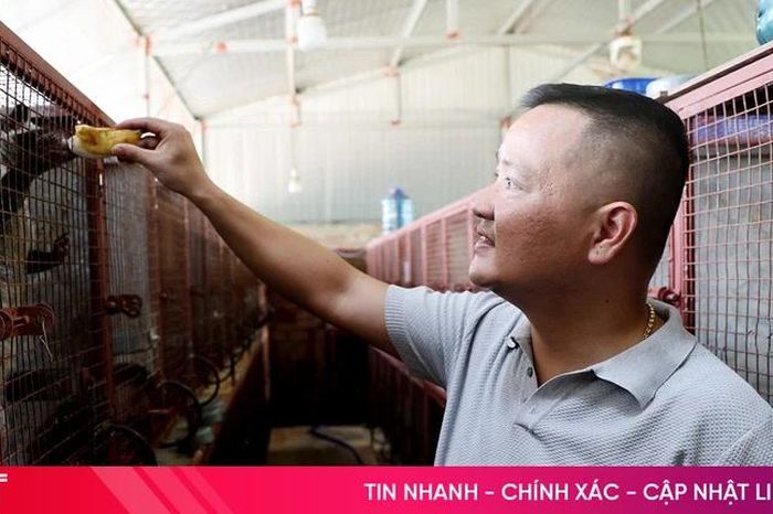 Nông dân Hà Tĩnh nâng cao thu nhập từ những loài vật nuôi ít người nghĩ tới - Báo Hà Tĩnh