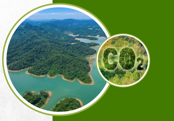 5 Key Points Shaping Vietnam's Carbon Market on July 28