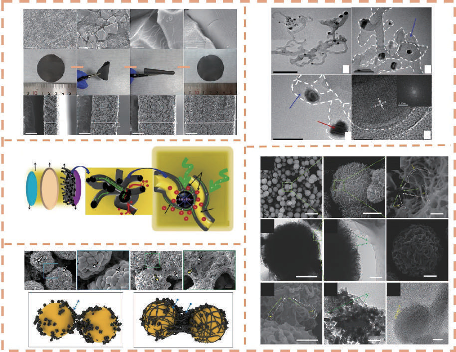 A review of carbon nanotubes in modern electrochemical energy storage