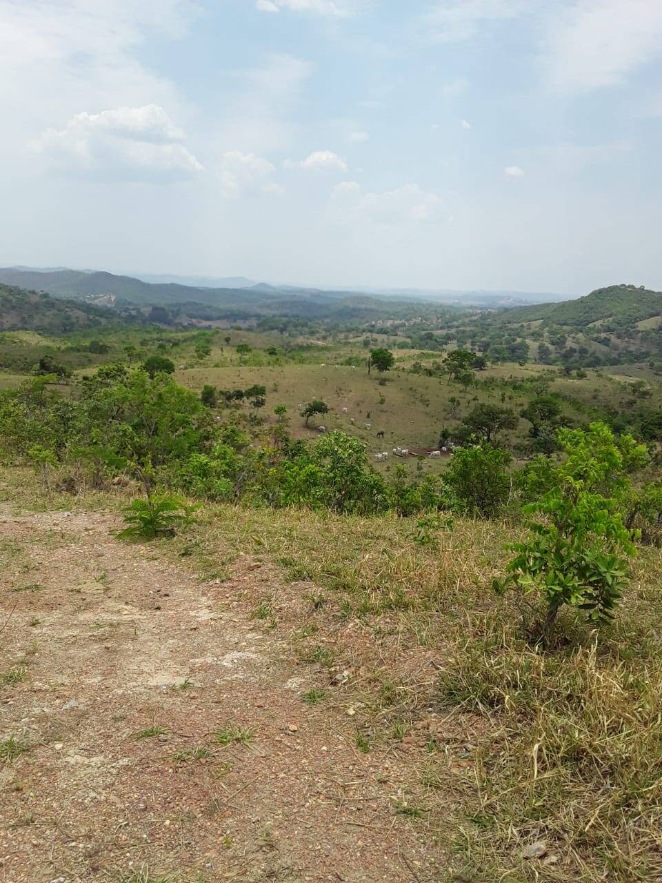 Fazenda em Cocalzinho de Goiás - GO (PORTERA FECHADA) 4