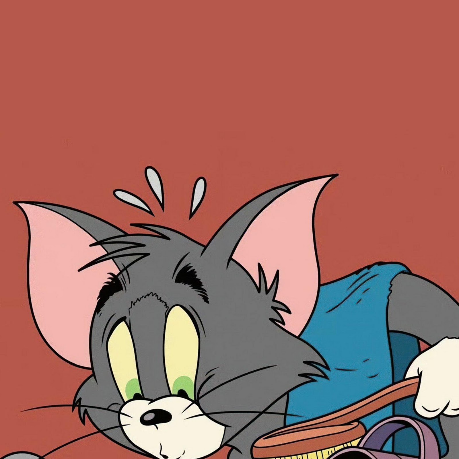 Download Tom And Jerry Bath Time 2K iPhone