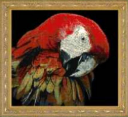 CMP JW014 Macaw