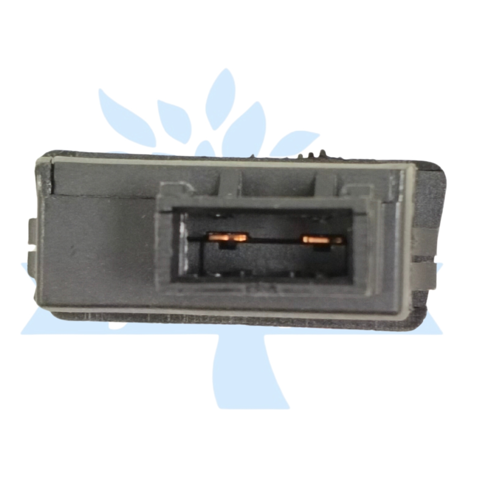 SWITCH [HORN-OLD] (0539)