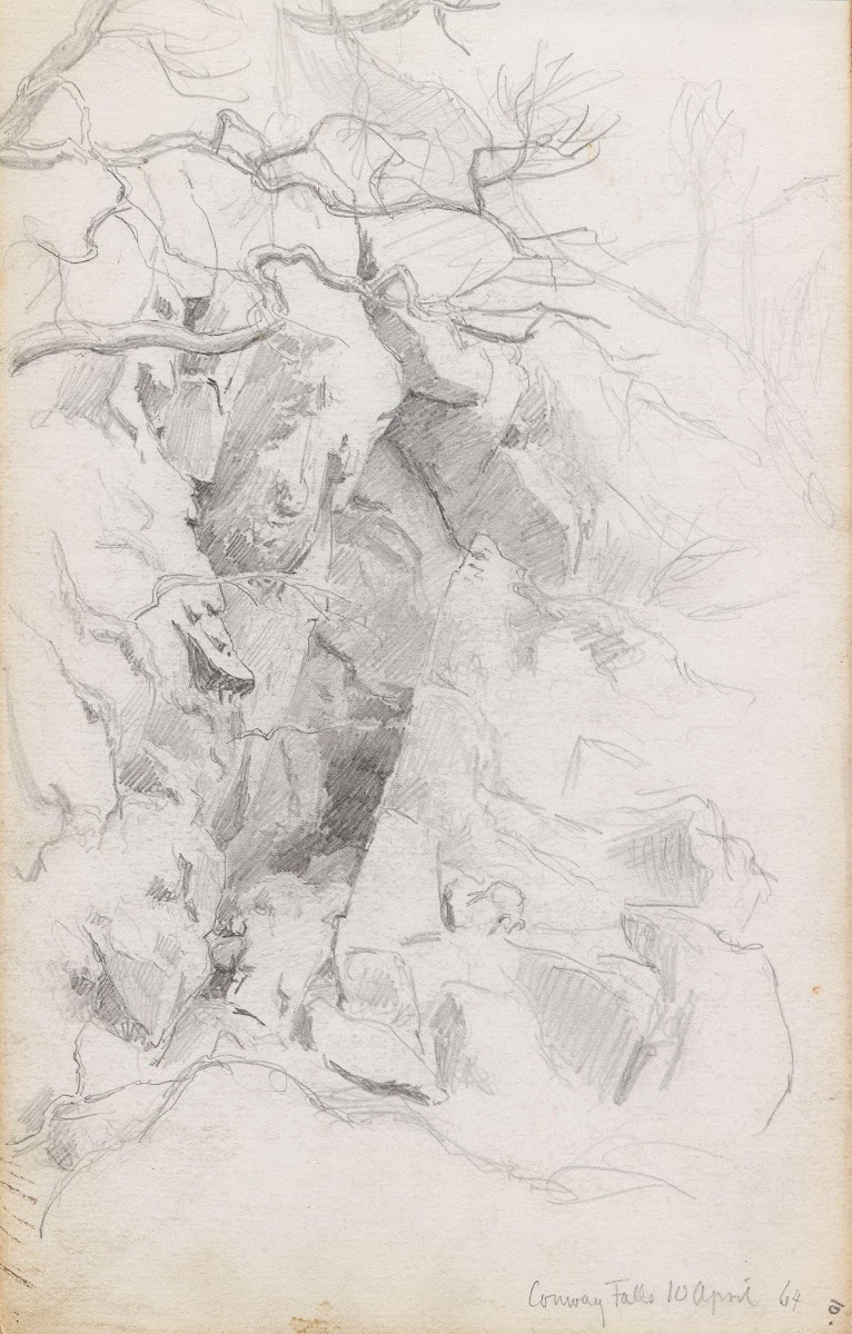Conway Falls 1864