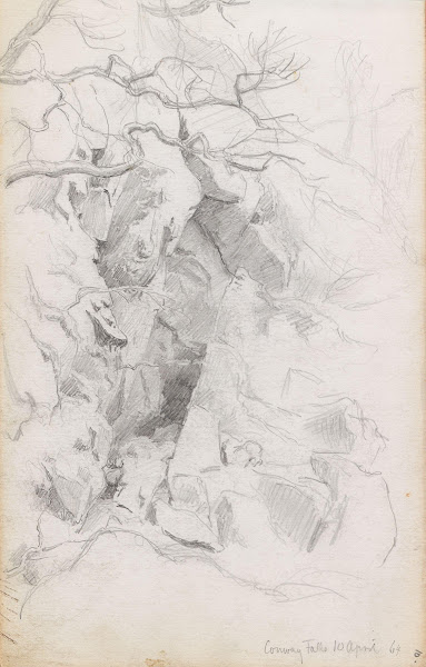 Conway Falls 1864