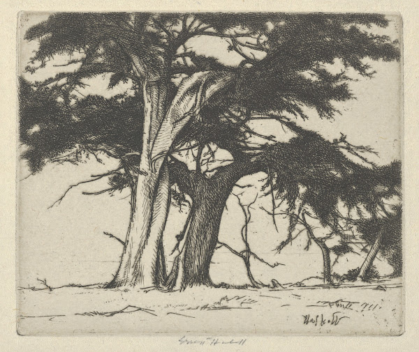 Companions 1920