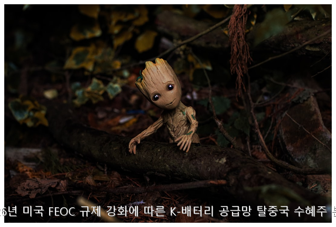 2026년 미국 FEOC 규제 강화에 따른 K-배터리 공급망 탈중국 수혜주 분석 핵심 안내 및 분석 인포그래픽 (8)