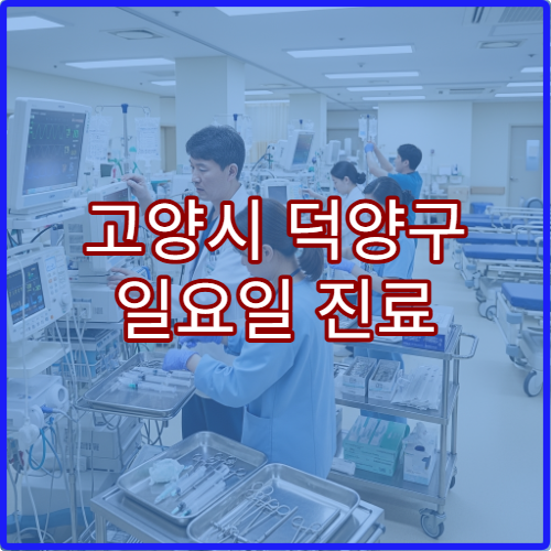 고양시 덕양구 일요일 진료 정형외과 병원 허리 통증·관절 통증 치료 가능