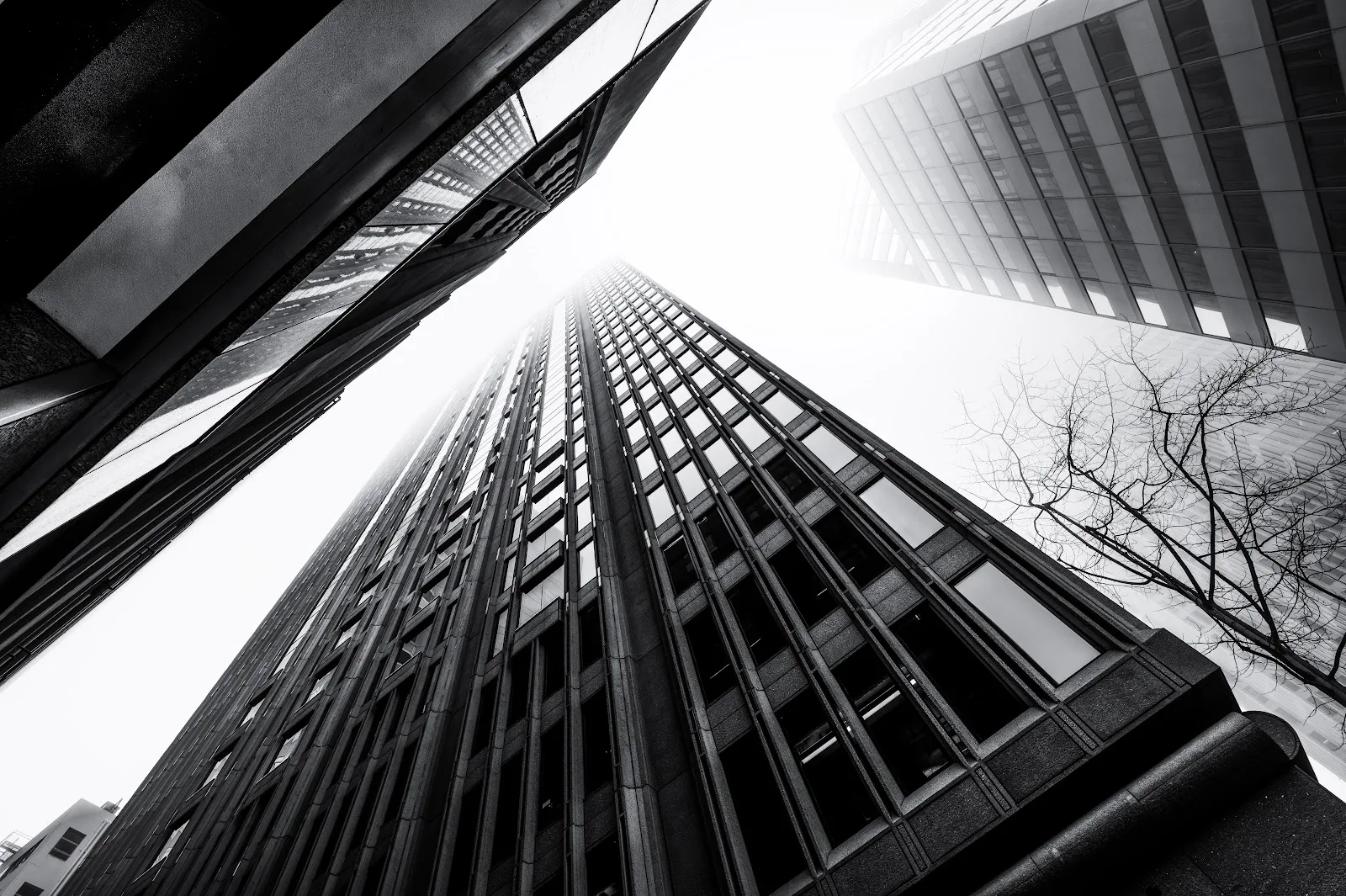 Monochrome Low Angle Skyscraper View - Architecture Photography 5K Wallpaper (6048x4024)