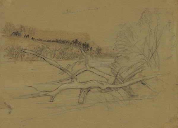 Willows and pines 1860 1865