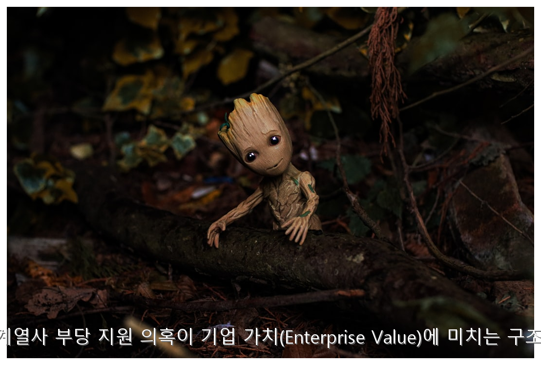 SK하이닉스 계열사 부당 지원 의혹이 기업 가치(Enterprise Value)에 미치는 구조적 영향 분석 핵심 안내 및 분석 인포그래픽 (5)
