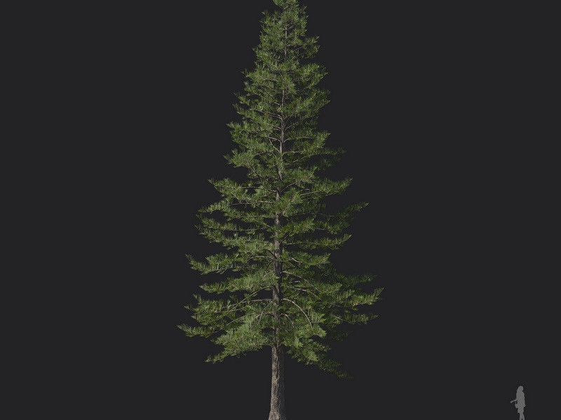 Maxtree - Plant Models Vol.121