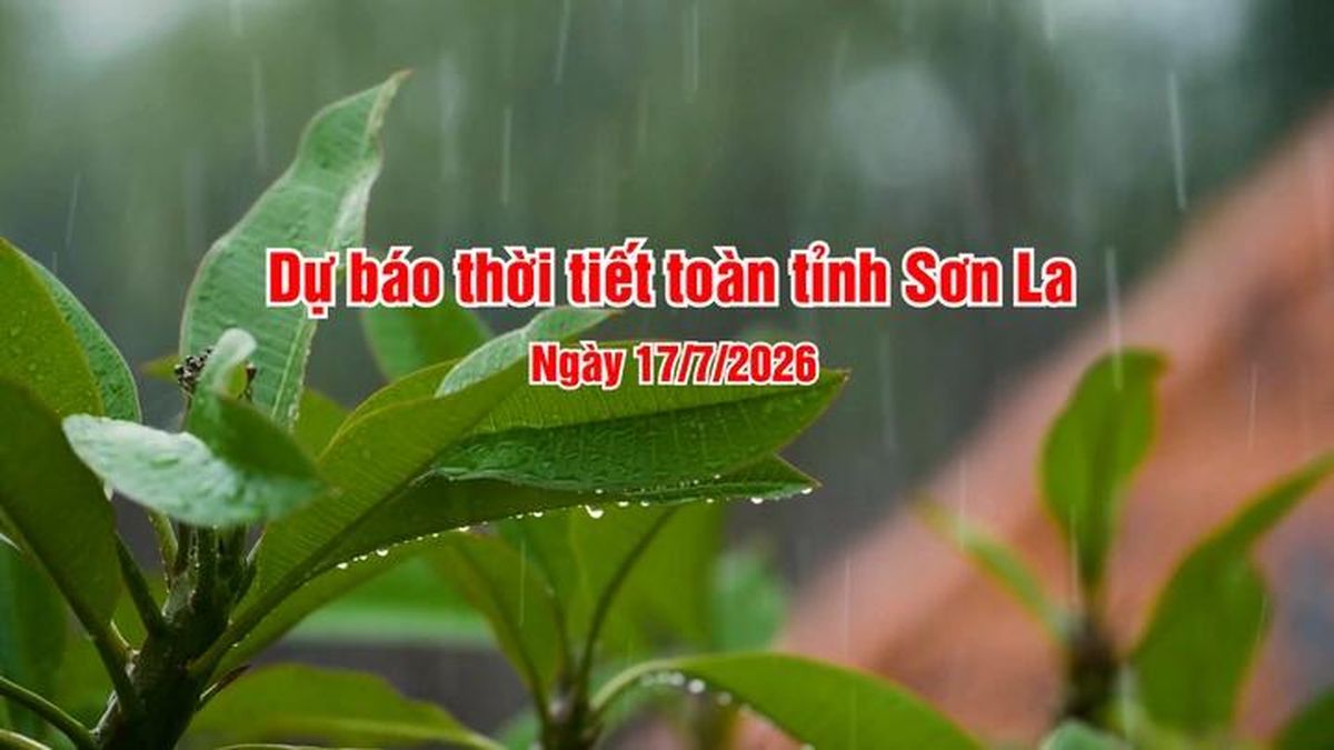 Dự báo thời tiết toàn tỉnh Sơn La ngày 17/7/2026 - Báo Sơn La